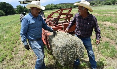 Federación indiferente a la crisis del campo; un grito de auxilio de las asociaciones campesinas de Chihuahua