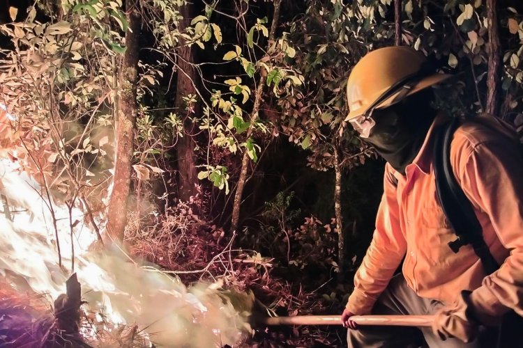 Despliegan brigadistas para combatir incendios en Valle de Bravo, Edomex