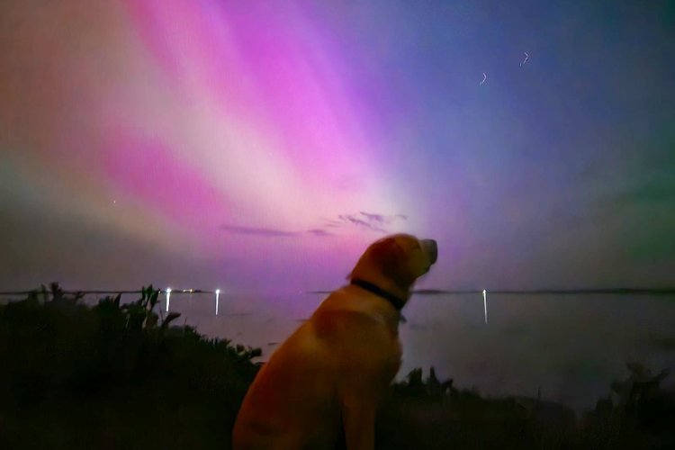Inusual aurora boreal podrá volver a verse este fin de semana