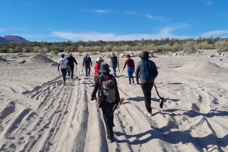 Colectivos de búsqueda encuentran fosas clandestinas en El Cajoncito