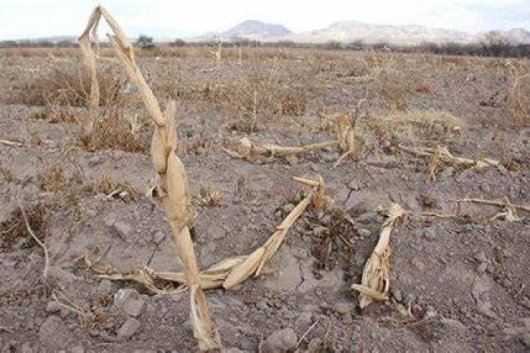 Sequía en San Luis Potosí, solo un municipio se salva