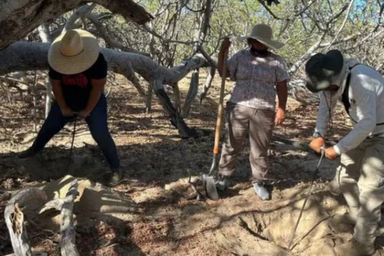 Colectivo de búsqueda localizó restos humanos en fosas clandestinas en Nogales