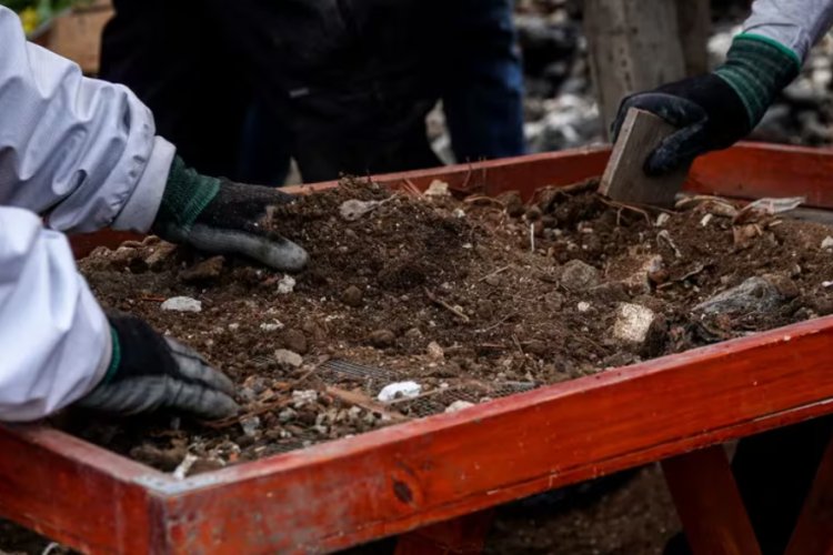 Colectivo de búsqueda localiza seis cuerpos en fosa clandestina de Guanajuato