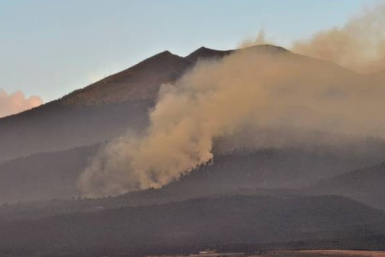 Combaten incendios en las inmediaciones del Nevado de Toluca, Edomex