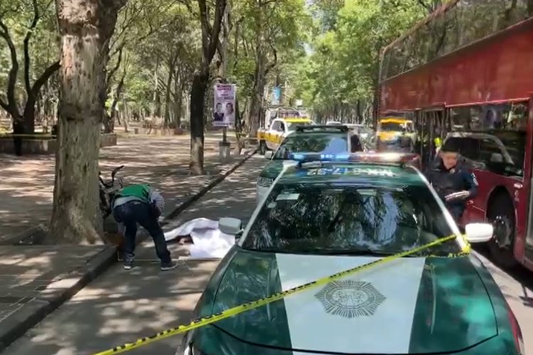 Ciclista de ecobici murió atropellado en Paseo de la Reforma