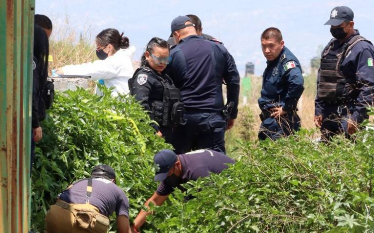 Encuentran cadáver de hombre reportado como desaparecido en Toluca