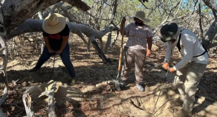 Colectivo de búsqueda localizó restos humanos en fosas clandestinas en Nogales