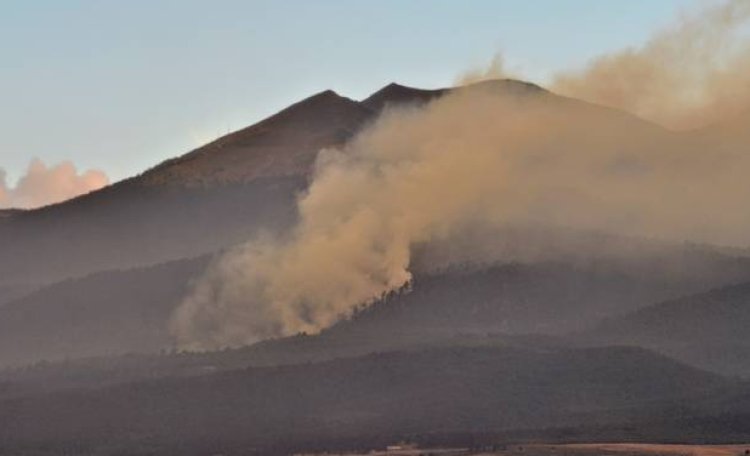 Combaten incendios en las inmediaciones del Nevado de Toluca, Edomex