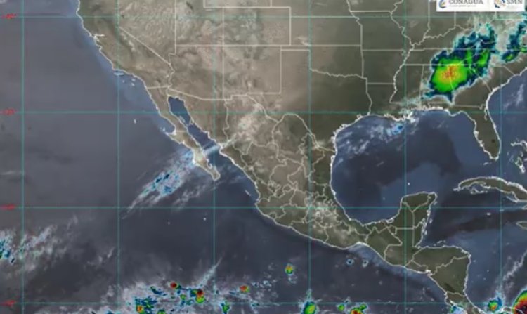 El clima hoy: se prevé que 20 estados superen los 45 grados