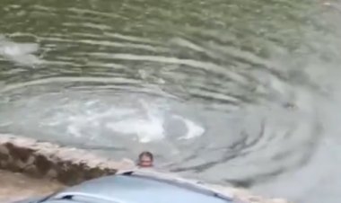 Hombre se salva de ser atacado por cocodrilos en la Laguna de las Ilusiones en Tabasco