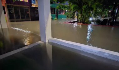 Avistan peces en calles de Chetumal por inundaciones