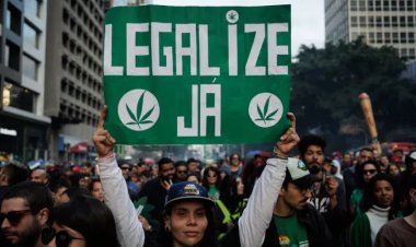 Brasil despenaliza consumo de marihuana