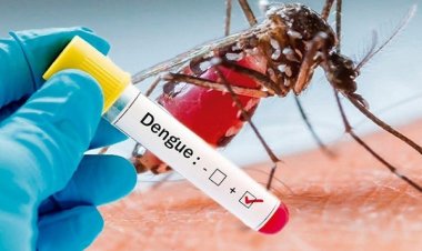 Cinco defunciones a causa del dengue en Nayarit