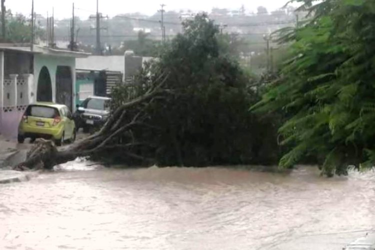 Sureste anegado por lluvias y encharcamientos