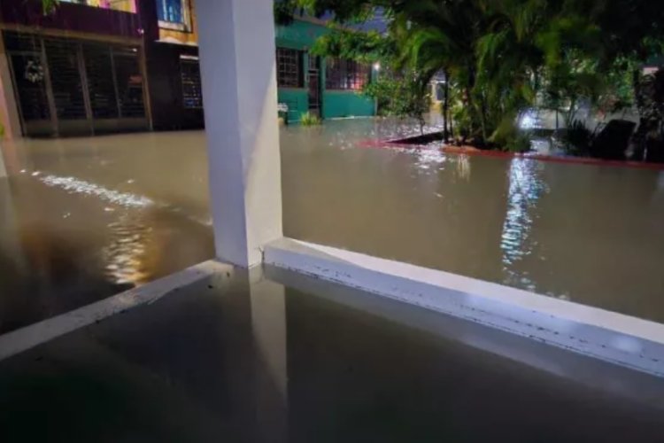 Avistan peces en calles de Chetumal por inundaciones