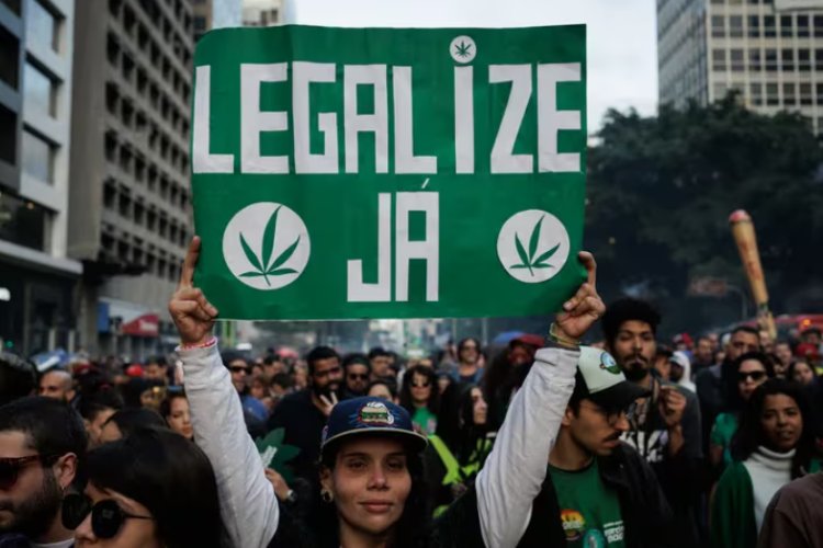 Brasil despenaliza consumo de marihuana