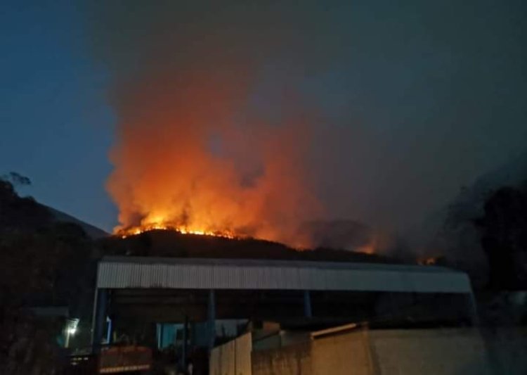 Incendio consume mil hectáreas de San José Tenango