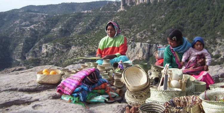 Esta por acabarse la belleza de la Sierra Tarahumara en Chihuahua
