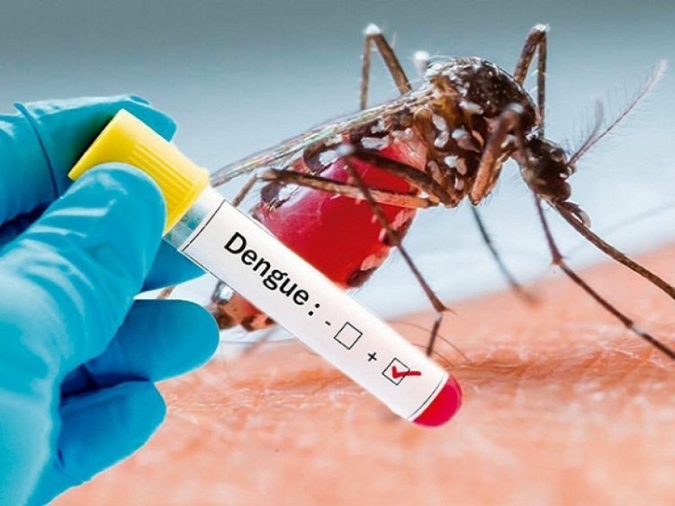 Cinco defunciones a causa del dengue en Nayarit