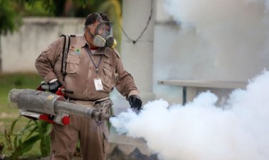 Colima primer lugar en contagios de dengue a nivel nacional