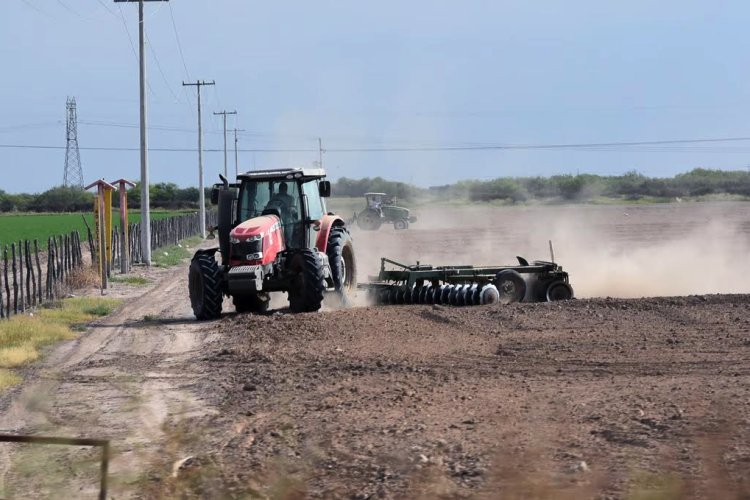 Por las lluvias aumenta el ánimo en el campo duranguense; falta el dinero para sembrar