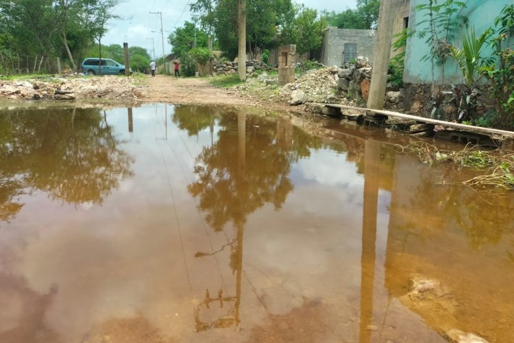 Temor por dengue en Yucatán; urgen a autoridades a tomar acciones