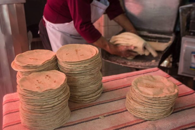 Inseguridad afecta directamente al precio de la tortilla: Homero López García