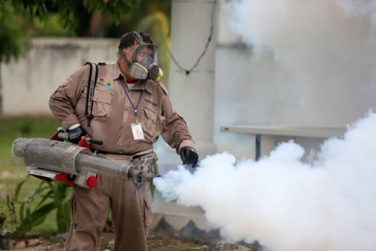 Colima primer lugar en contagios de dengue a nivel nacional