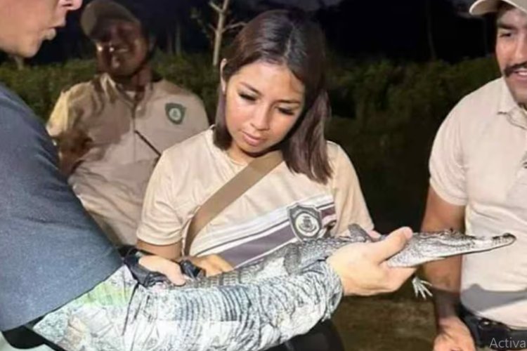 Un cocodrilo fue encontrado en Parque Ecológico de Mérida