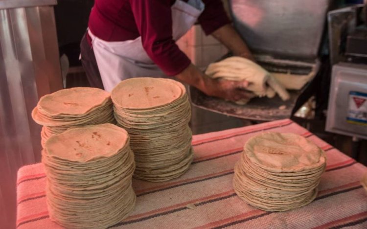 Inseguridad afecta directamente al precio de la tortilla: Homero López García