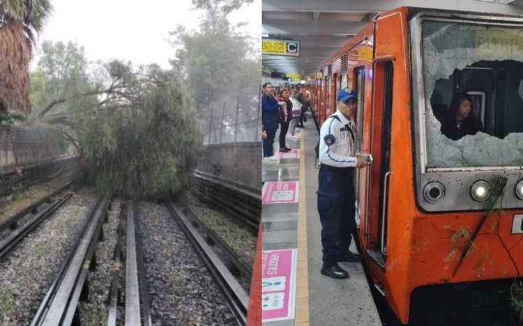 Árbol destroza parabrisas de Metro de la Línea 5; suspenden el servicio por horas