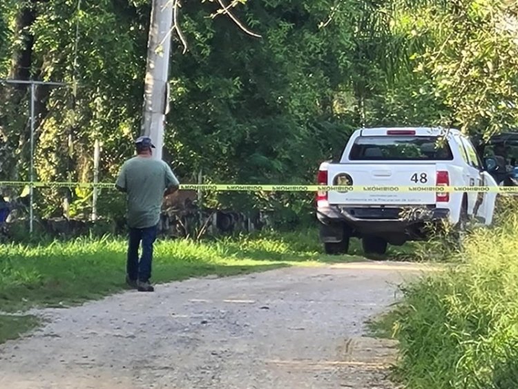 Encuentran cuatro cuerpos con señales de violencia en quinta de Montemorelos, Nuevo León