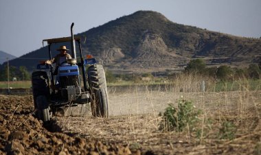 Continúan los desafíos para el campo chihuahuense