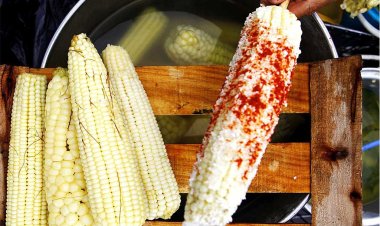 Anuncian Feria del Elote a realizarse en Atlixco, Puebla