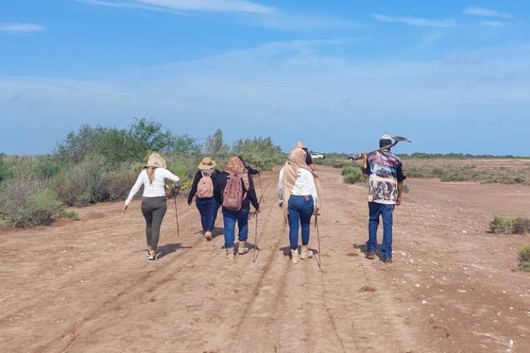 Buscadoras encuentran fosas con cuerpos calcinados en Sonora