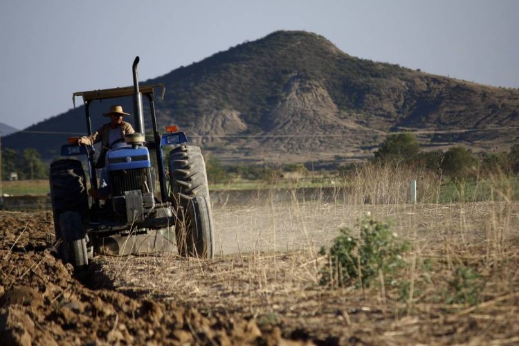 Continúan los desafíos para el campo chihuahuense