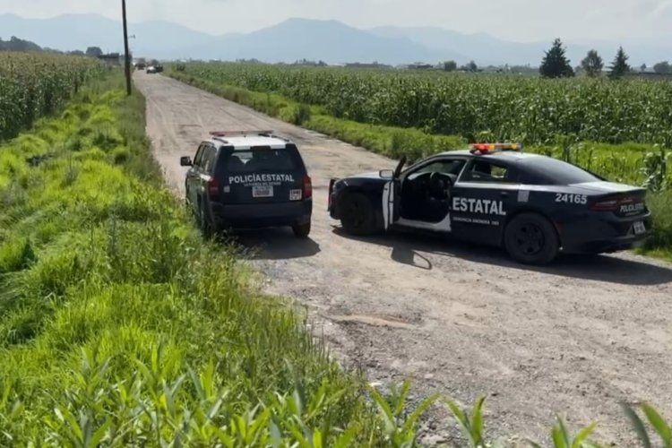 Dejan dos cuerpos sin vida con rastros de violencia en camino de terracería de Otzolotepec