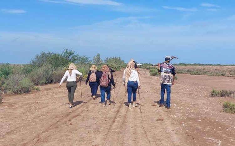 Buscadoras encuentran fosas con cuerpos calcinados en Sonora