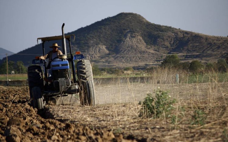 Continúan los desafíos para el campo chihuahuense