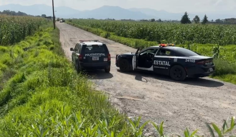 Dejan dos cuerpos sin vida con rastros de violencia en camino de terracería de Otzolotepec