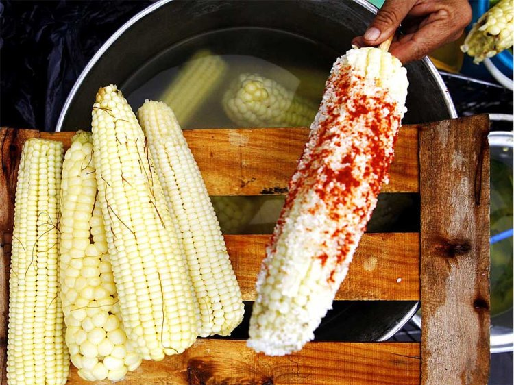 Anuncian Feria del Elote a realizarse en Atlixco, Puebla