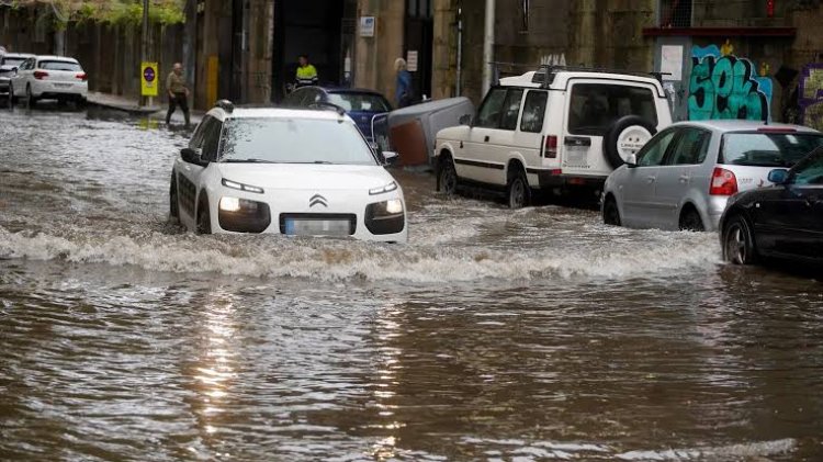 Lluvias torrenciales aumentan el cobro de seguro por este rubro