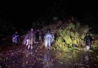 Tormenta John deja dos muertos en su paso por el estado de Guerrero