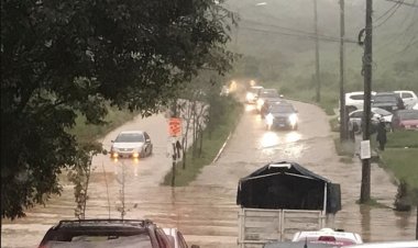 Intensa lluvia en Xalapa provoca deslizamientos de tierra, caídas de árboles y otros destrozos