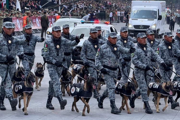 Reforma de la Guardia Nacional se discutirá este jueves en San Lázaro