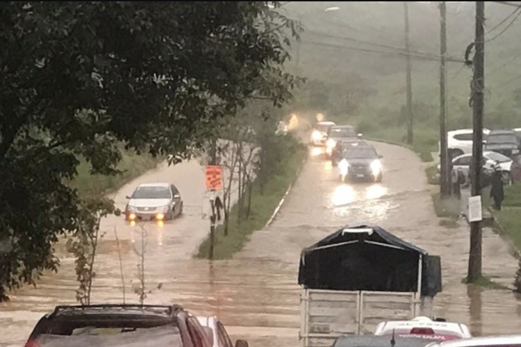 Intensa lluvia en Xalapa provoca deslizamientos de tierra, caídas de árboles y otros destrozos