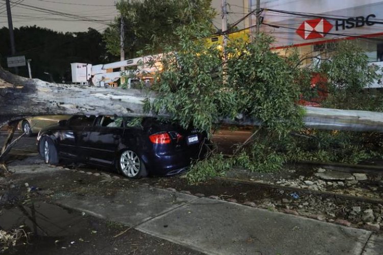 Lluvias y vientos ocasionan caídas de árboles y afectaciones al norte de la CDMX