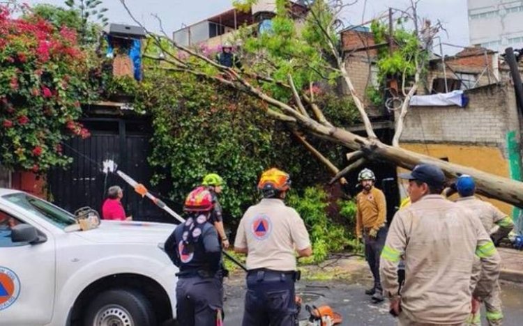 Lluvias en la CDMX ocasionan deslaves y caída de arboles