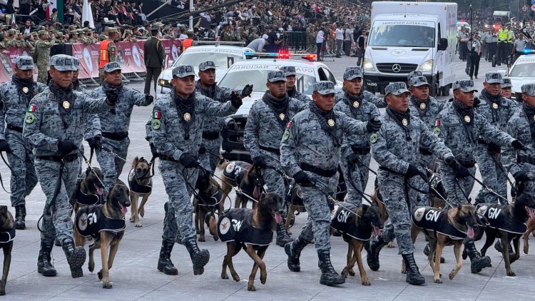 Reforma de la Guardia Nacional se discutirá este jueves en San Lázaro