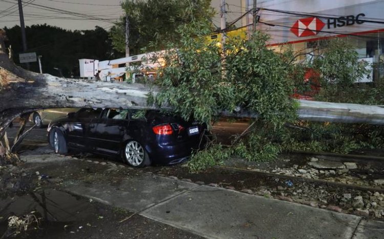 Lluvias y vientos ocasionan caídas de árboles y afectaciones al norte de la CDMX